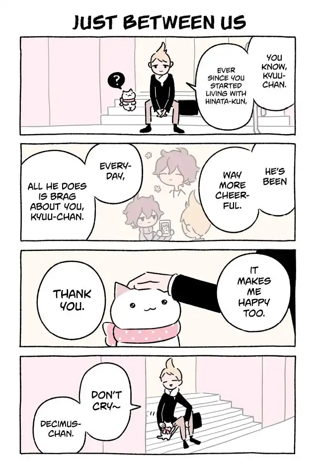 Wonder Cat Kyuu-chan Chapter 312 1